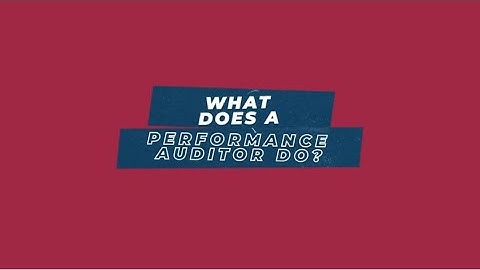What Does a Performance Auditor Do?