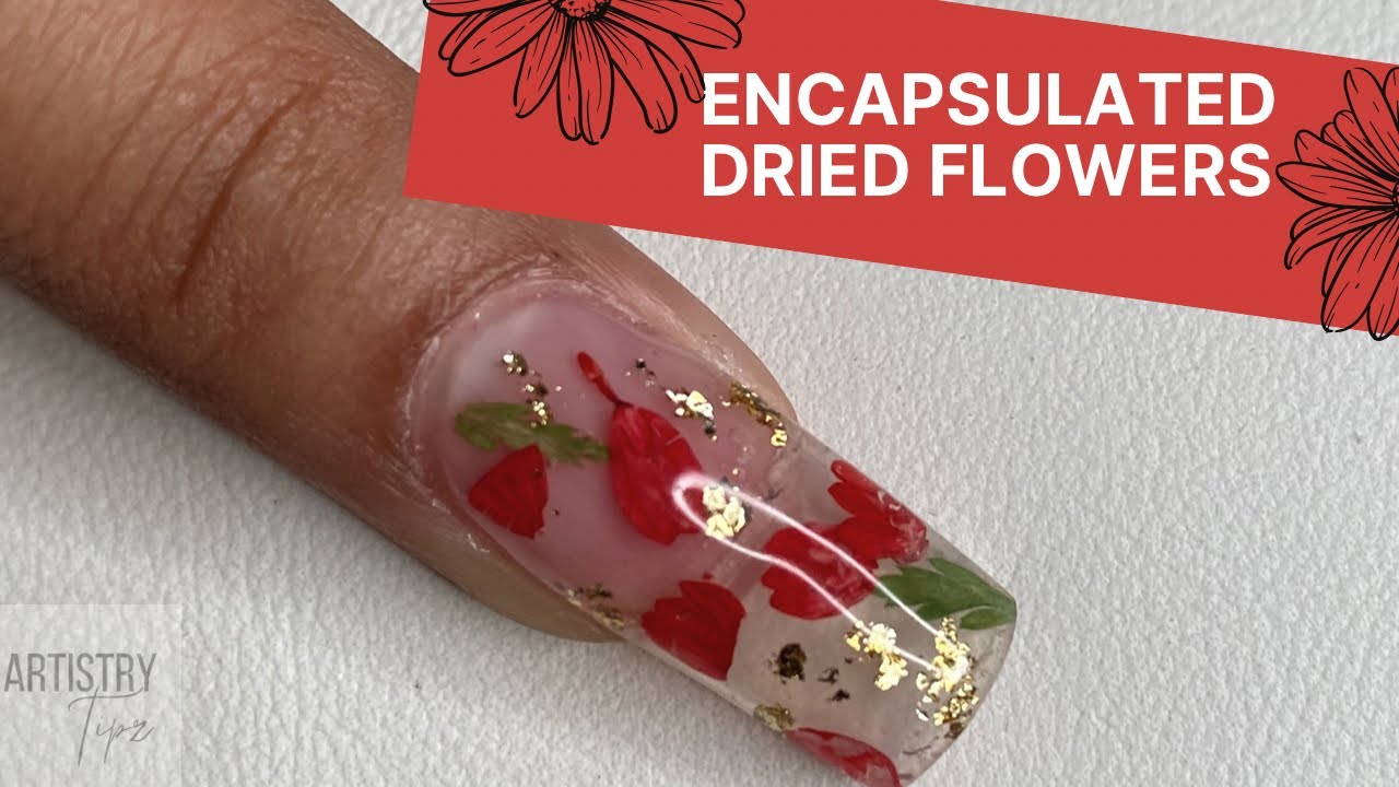 Encapsulated dry flowers amitynails.com Altamonte Springs Fl | Flower nails,  Sculptured nails, Fancy nails