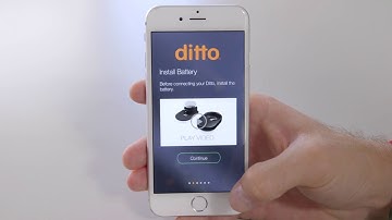 Ditto Setup-Tutorial