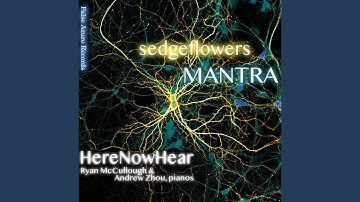 John Liberatore — Sedgeflowers (2017–18) : III. Presto possibile, molto meccanico