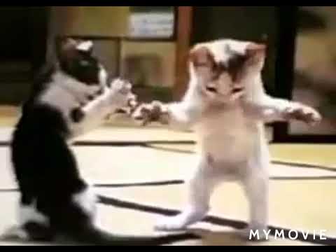 حطه يا بطه يا فلفل شطة