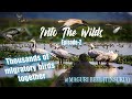 Maguribeel  dibrusaikhowa assam  into the wilds  episode2 season1  wildlife vlog 2020