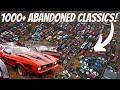 Exploring junkyard full of abandoned mustangs muscle cars classic cars  chasing crappy cars ep22