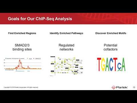 Видео: EpiMethylTag: одновременное обнаружение сигналов ATAC-seq или ChIP-seq с метилированием ДНК