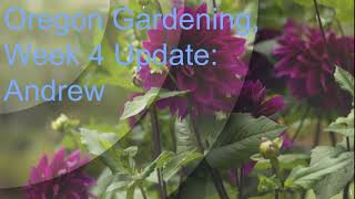 Oregon Gardening Application Week 4 Update - test screenshot 2