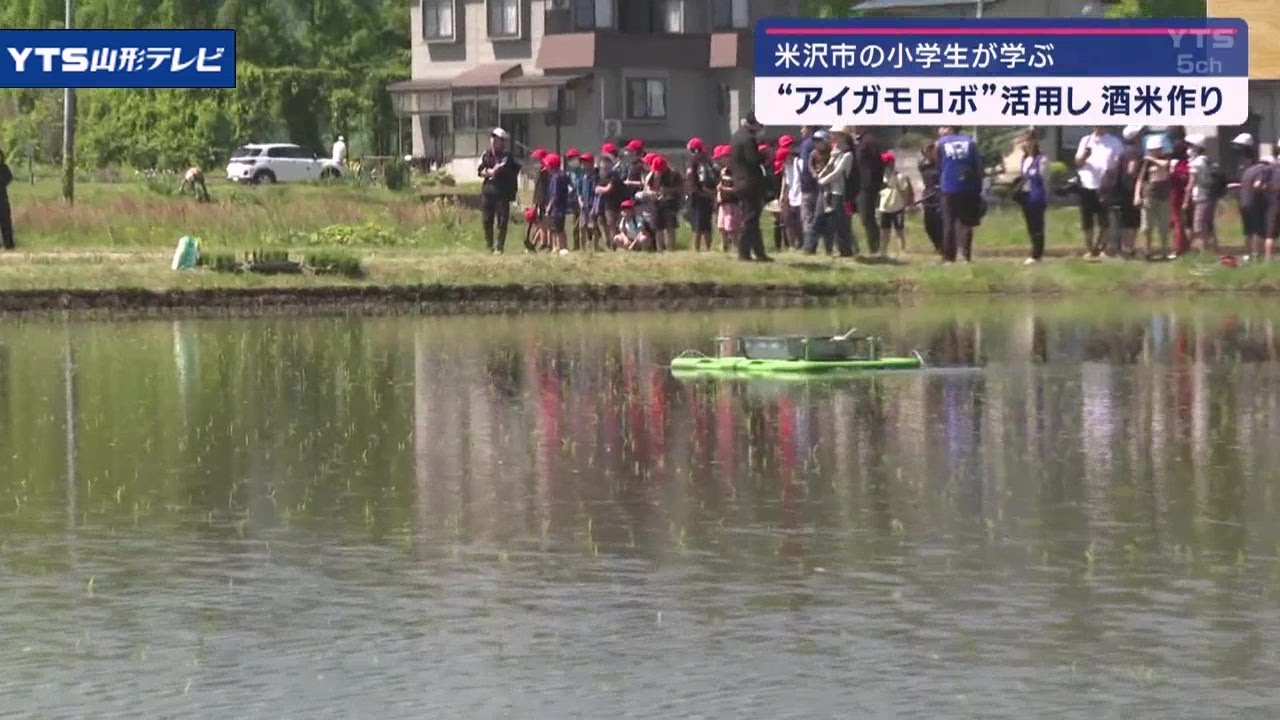 田んぼ除草にアイガモロボット