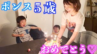 【全部当日準備w】ポンス５歳のサプライズ誕生日会の様子♡