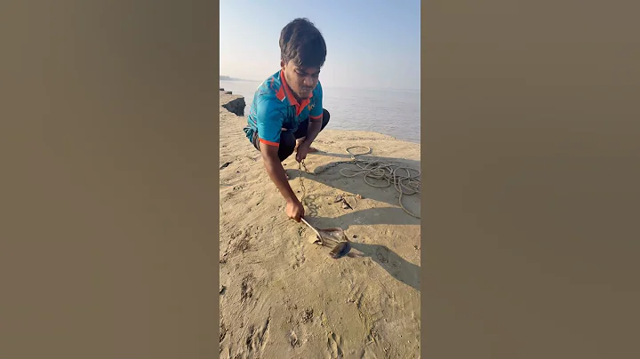 River fishing bait throwing by hook yarn roll  #catfish  #bait