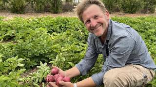 Coastal Roots Farm invites families to enjoy summer bounty