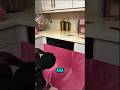 Dapur Pink Impian Modal Plastik 😳