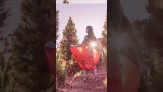 Christmas Tree Farm Photoshoot Summer At Christmas