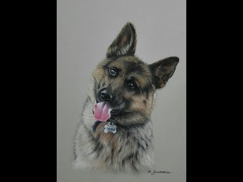 German Sheperd Drawing At Getdrawings Com Free For Personal Use