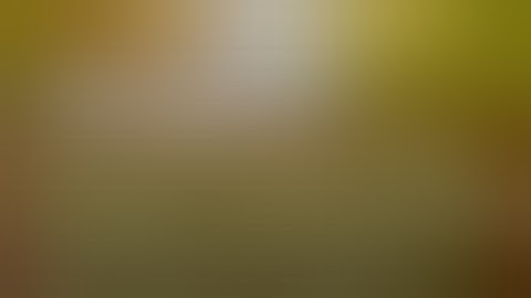 2  CSS Bangla video tutorial for beginner selector