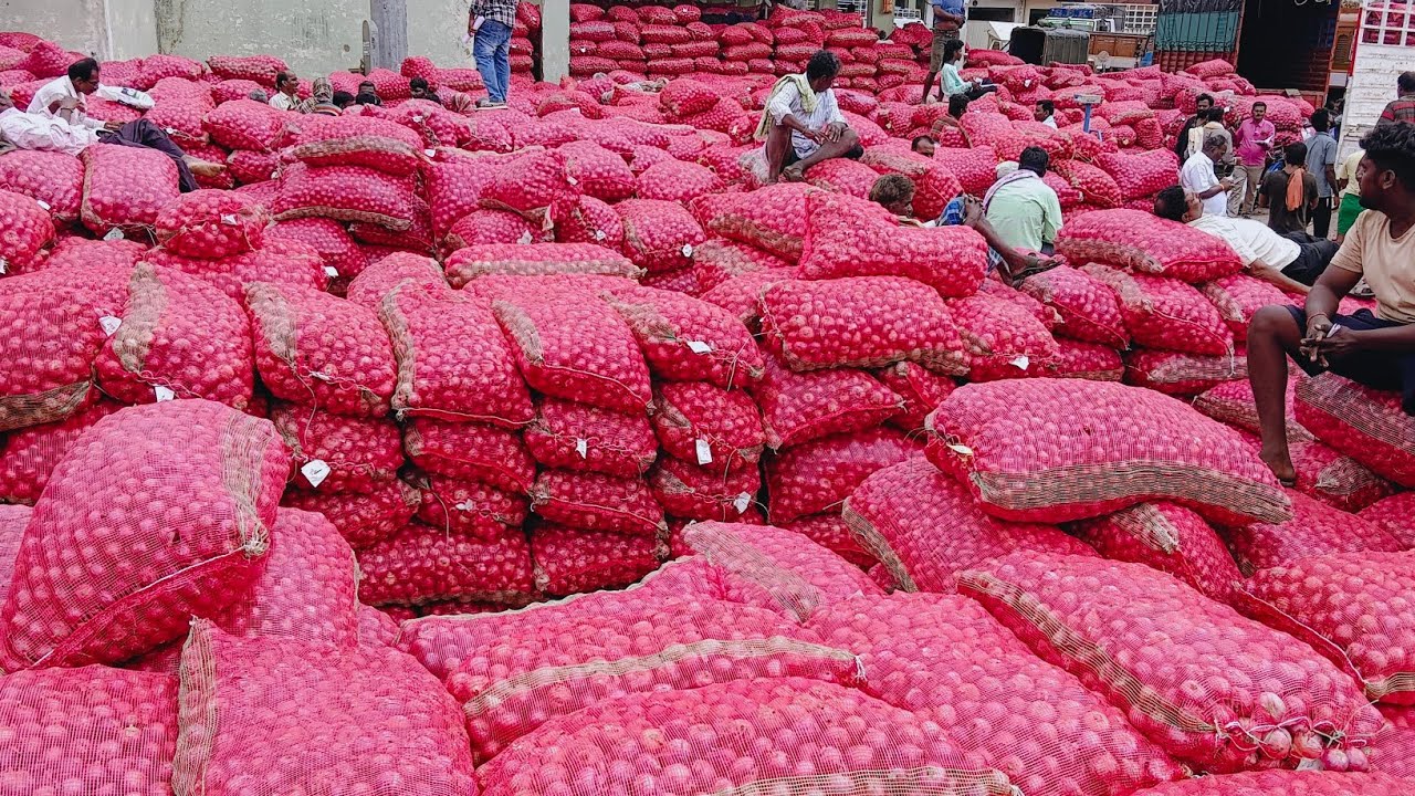 26/02/2026 Today onion rate Bengaluru Yeshwantpur market