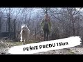 NJIH DVE SVAKI DAN PEŠKE PREĐU 15km ZAJEDNO:Teška životna priča devojčice Milice i njenog psa Lare