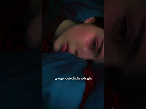 بجيت ومابرد كلبي ستوريات