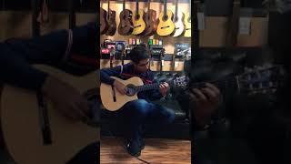 Autumn Leaves Guitar Finger Style, Mohammad Afshani