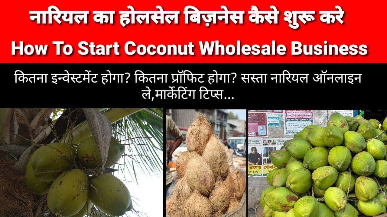 coconut wholesale business plan in india