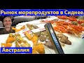 Рынок морепродуктов в Сиднее. Можно купить все, что плавает в воде. (видео 331)