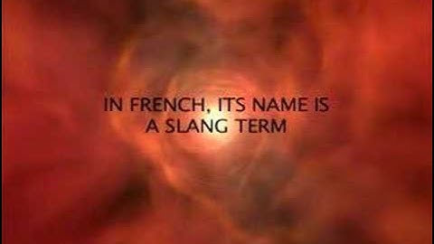 Title Sequence - Camaro the Journey