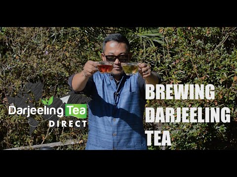 How to Brew Darjeeling Tea The Correct Way? - Darjeeling Tea