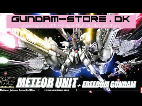 ロボット HG FREEDOM GUNDAM + METEOR UNIT HG Meteor Unit + Freedom Gundam (HG Gundam Seed #16