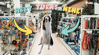 bad vlog: a day in the life / abby’s birthday celebration