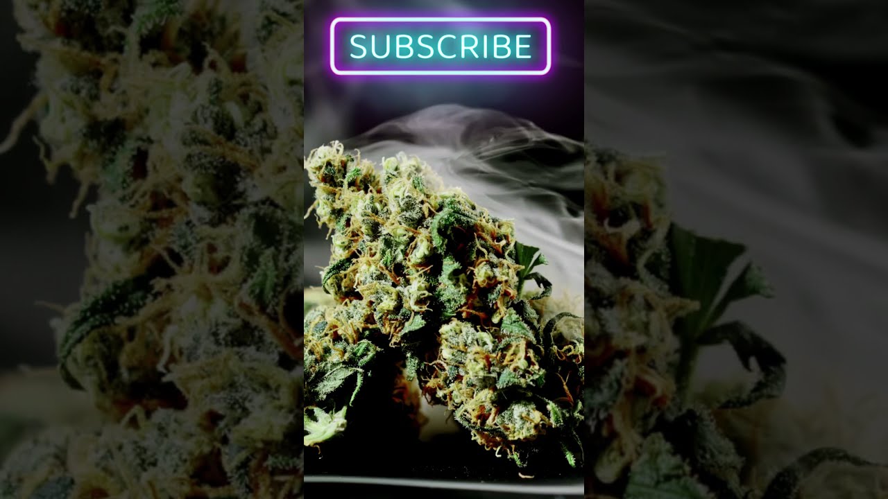 OMG Marijuana Buds In Smoke Satisfying Shorts Asmr