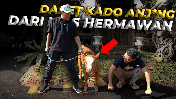 KEJUTAN DARI MAS HERMAWAN BIKIN GUE SPEECHLESS