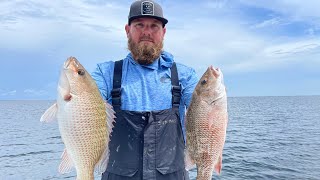 How to catch snapper in Tampa Bay!