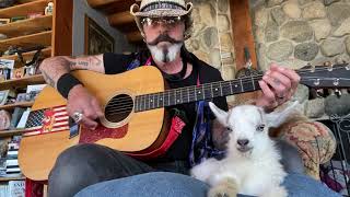 Baby Goat Loves Live Acoustic Music. Kid Goat Just Chilling on a Sunday Morning