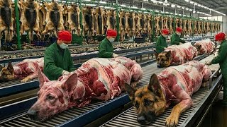 Inside the German Shepherds Leather Factory–Million-Dollar Products Are Made