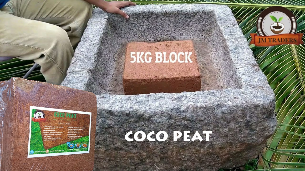 How To Use Coco Peat At Home What Is Benefits You How To Use Coco Peat At Home What Is Benefits