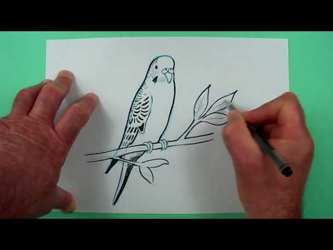 Video: Wie Zeichnet Man Eine Schwalbe Mit Einem Bleistift