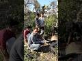 आज ग्राम पंचायत कैना में एक नदी बाबा को बहुत घाव था हम और हमारी ने मिलकर और नदी बाबा की पट्टी की#गौ