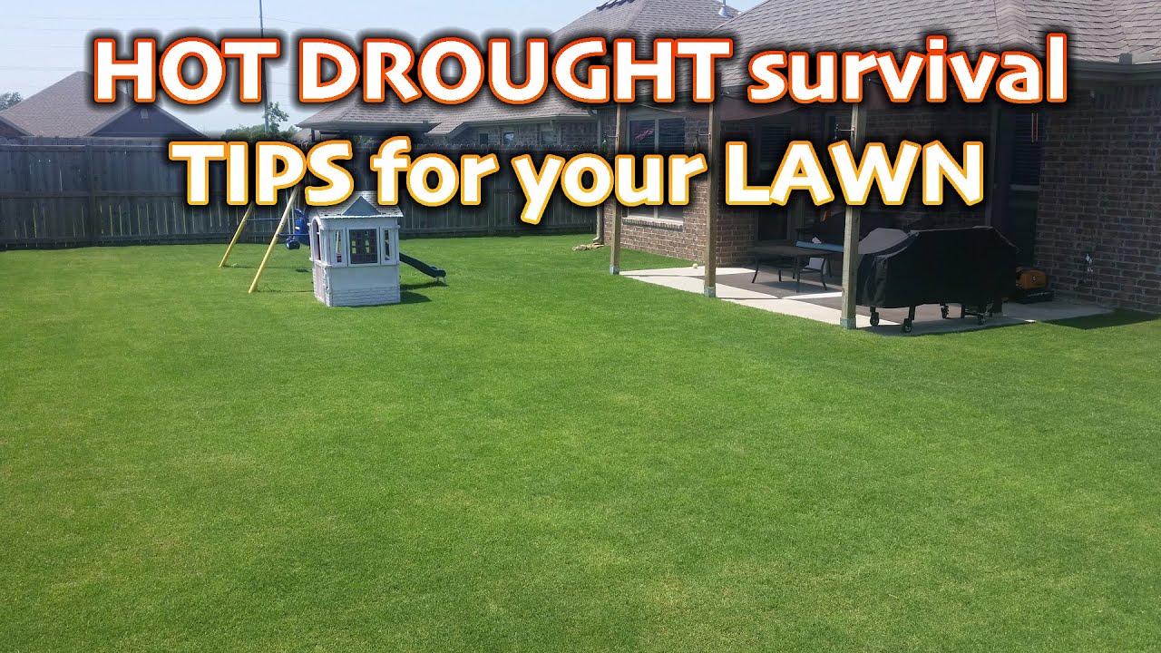 3 Easy Ways to Help Your Lawn Survive a Hot Drought // Summer Heat Lawn ...