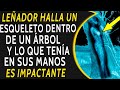 Leñador Halla Esqueleto Dentro De Un Árbol y Lo Que Tenía Escondido Entre Sus Manos Es Impactante