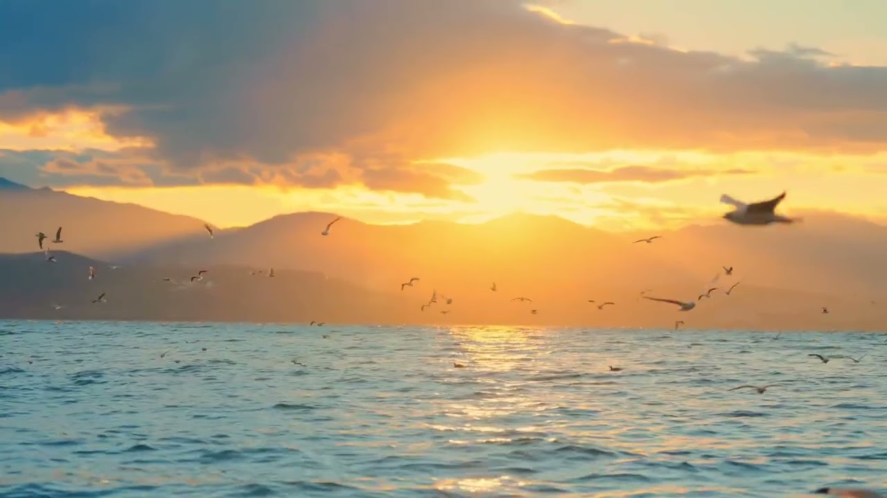 A beautiful world, beautiful scenery. See more scenery, cultivate your character, purify your soul,