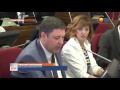 Депутаты единогласно поддержали инициативу Николая Новопашина против Лирики