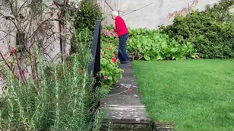 Annesley Family Video - Garden series