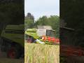 Claas Lexion 780🌾☀️#farming #youtubeshorts #landwirtschaft #agriculture #claas