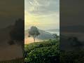 Valparai Morning view🏔️🌾 #valparai #morning #view #hillstation #nature #sunrise #shots #trending