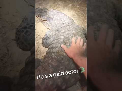 I’m that gator guy👨‍🦯 #floridafishing #floridaman #fishingvideo #alligator #wrestling #florida