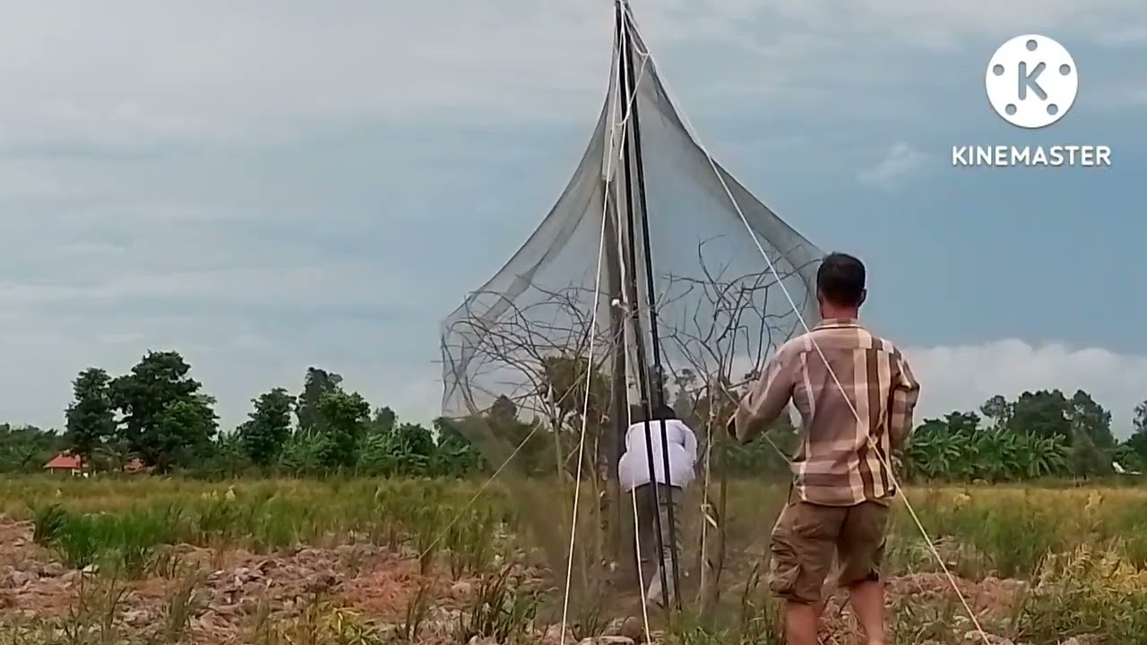 dục chim sẽ kiểu này làm sao mà ko mê cả nhà