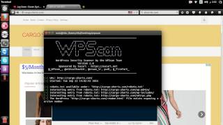 Hack Wordpress using wpscan