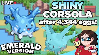 [LIVE] Shiny Corsola after 4,344 Eggs in Pokemon Emerald! (Egg Month 2024 Target)