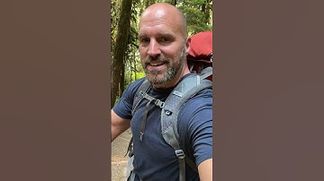 Tribute to Michael Daly