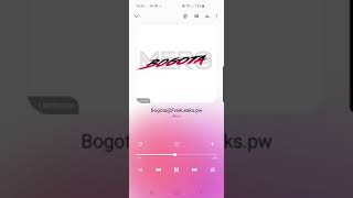 Mero-Bogota leak (original audio)