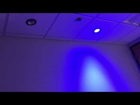 Color Changing Igor PoE Lighting: Blue & Cool White