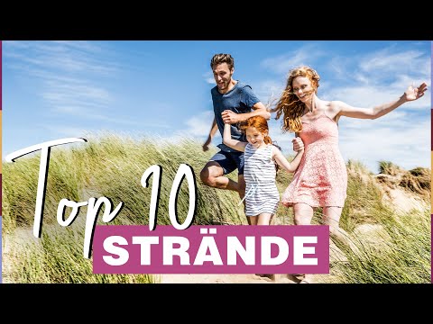 Video: Top 12 Strände für Hunde